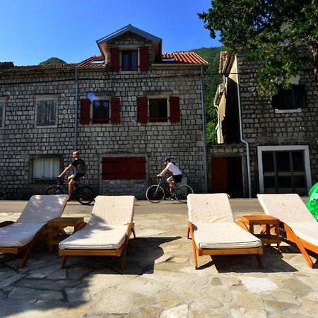 A Hundred Olive Trees Apartments Kotor Exterior foto