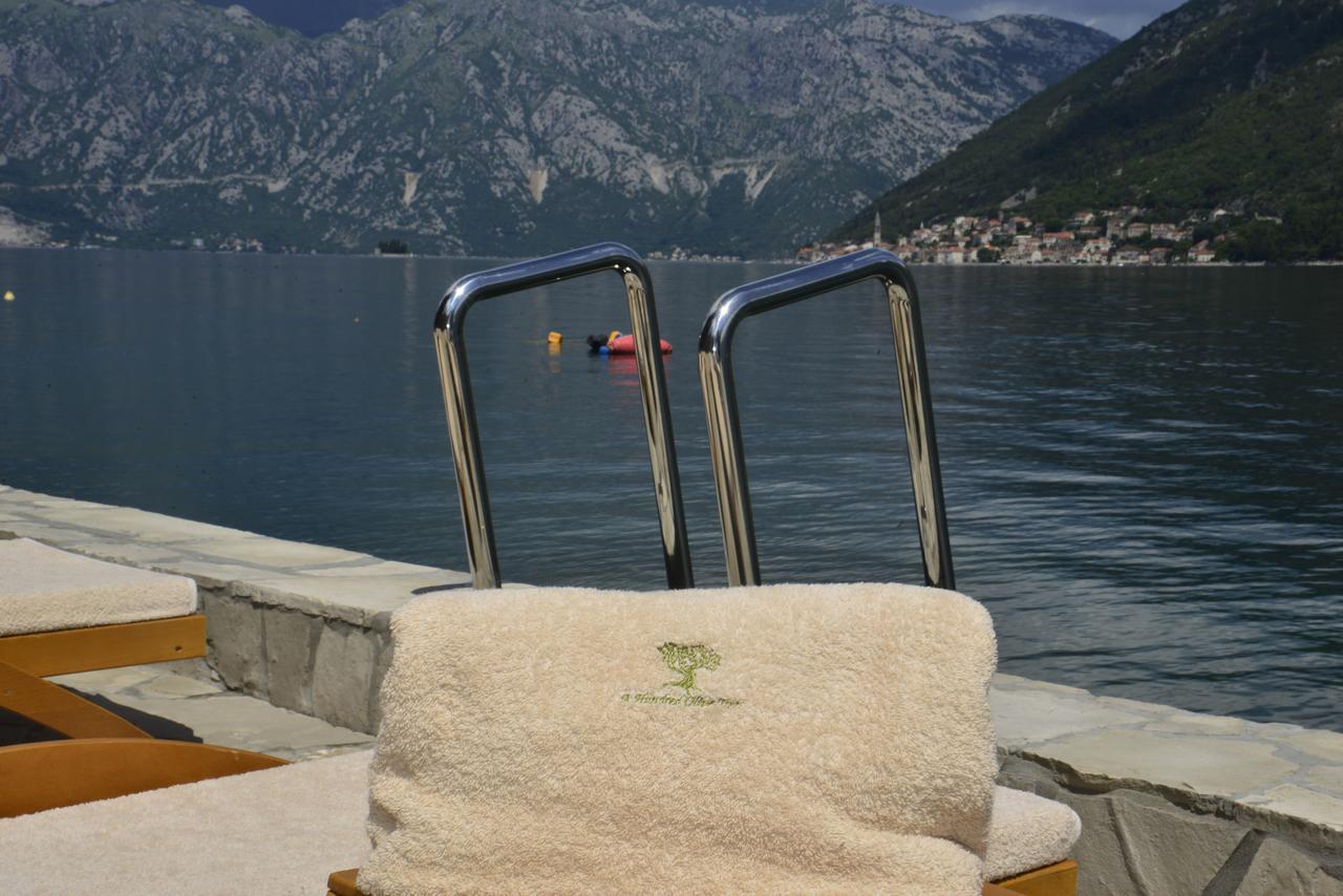 A Hundred Olive Trees Apartments Kotor Exterior foto