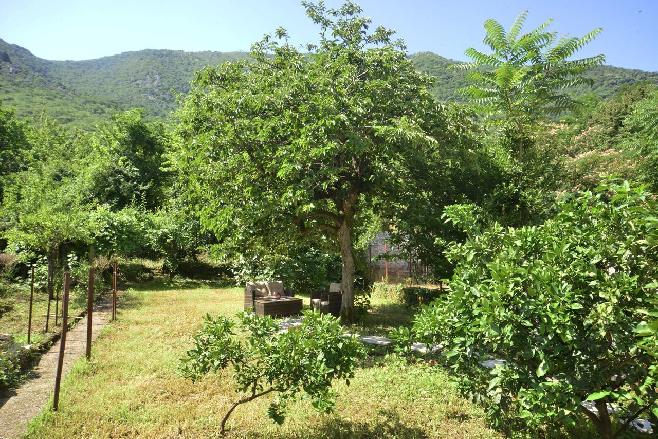 A Hundred Olive Trees Apartments Kotor Exterior foto
